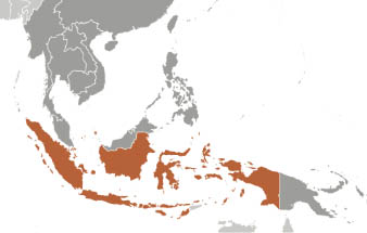 Mega Economies of Tomorrow: Indonesia’s Way Up
